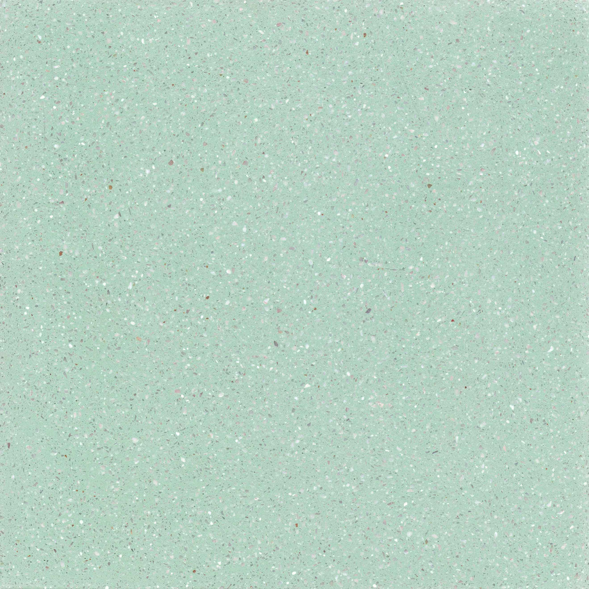 TERRAZZO C6 light green 20X20 fine