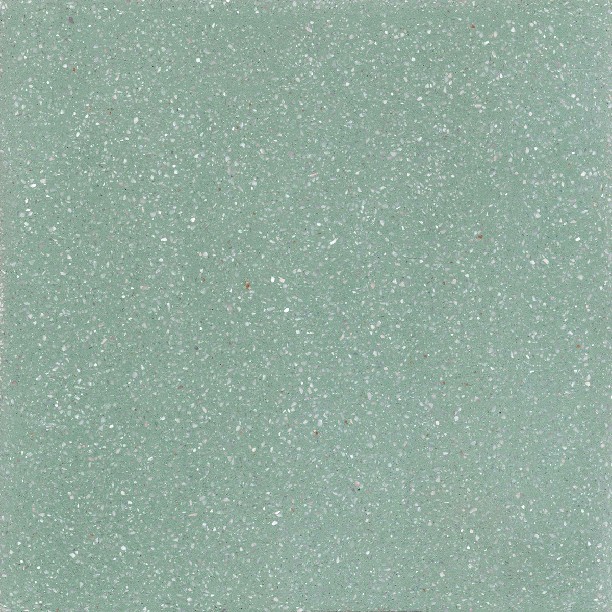 TERRAZZO C7 dark green 20X20 fine