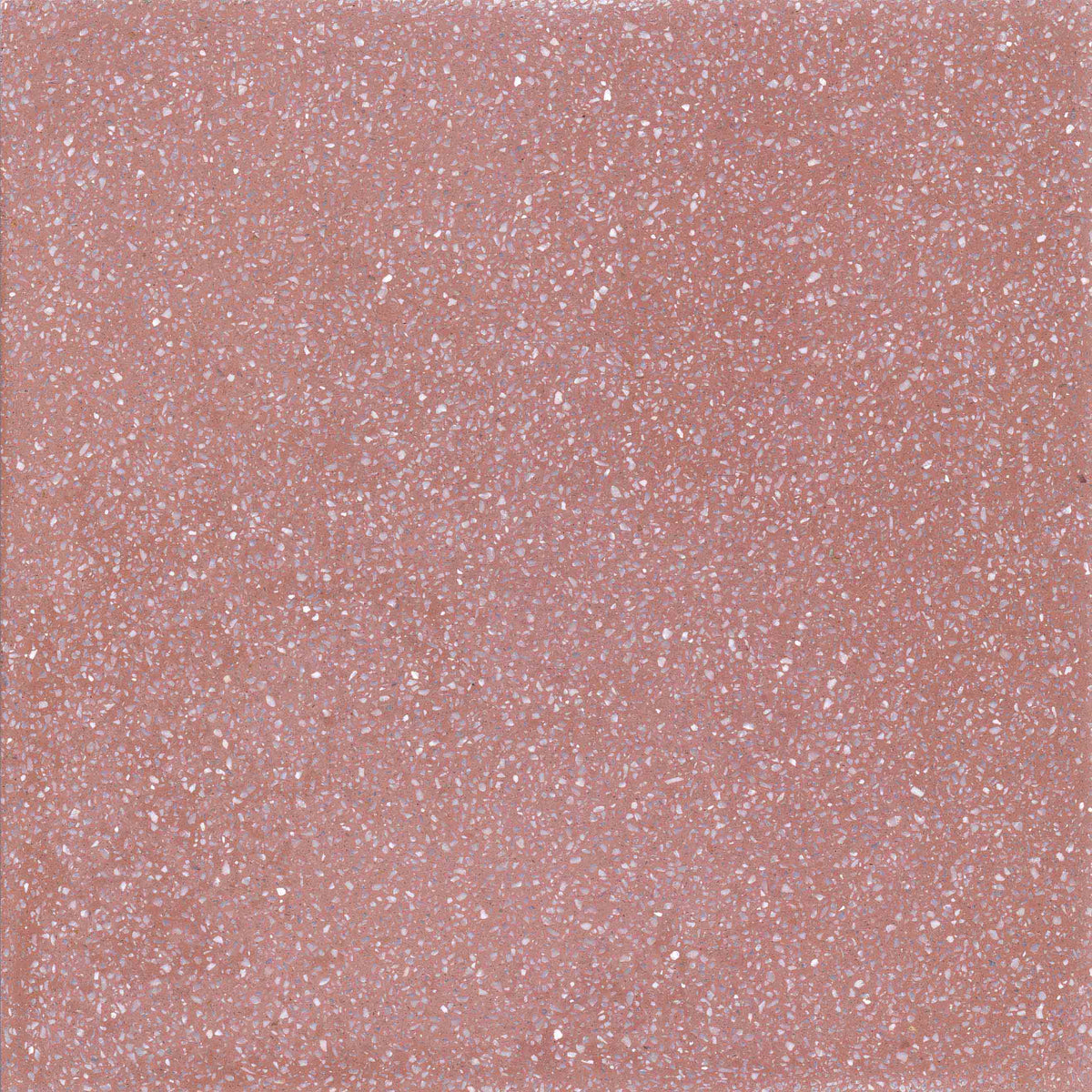 TERRAZZO C39 20X20 fine