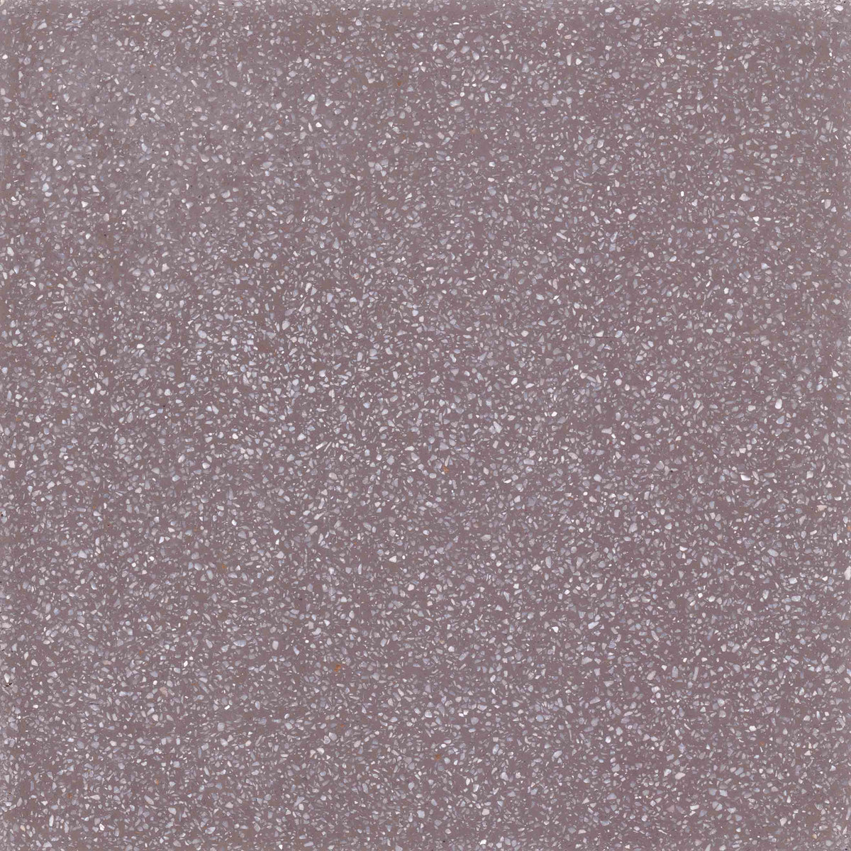 TERRAZZO C609 taupe 20X20 fine