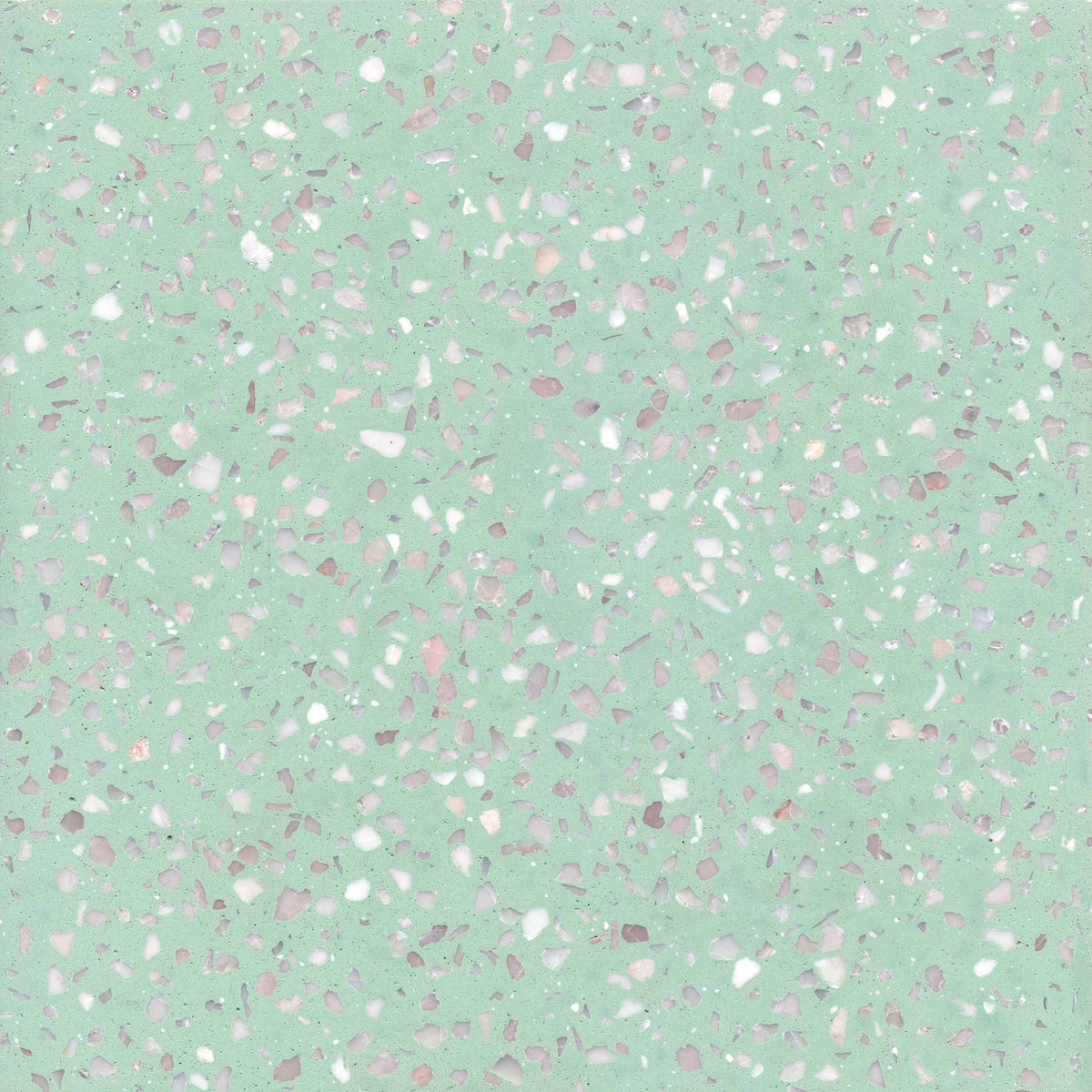 TERRAZZO C6 light green 20X20 raw