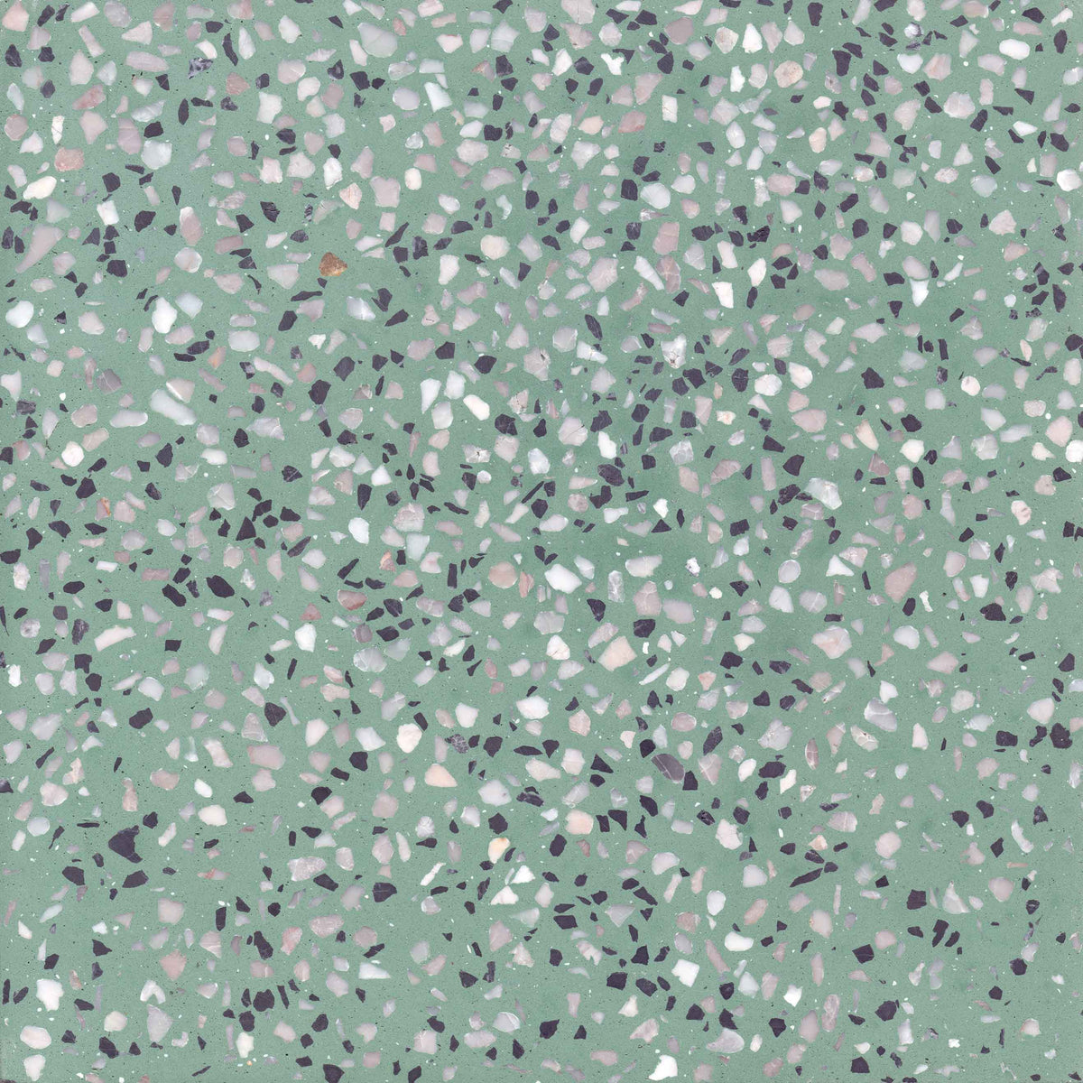 TERRAZZO C7 dark green 20X20 raw