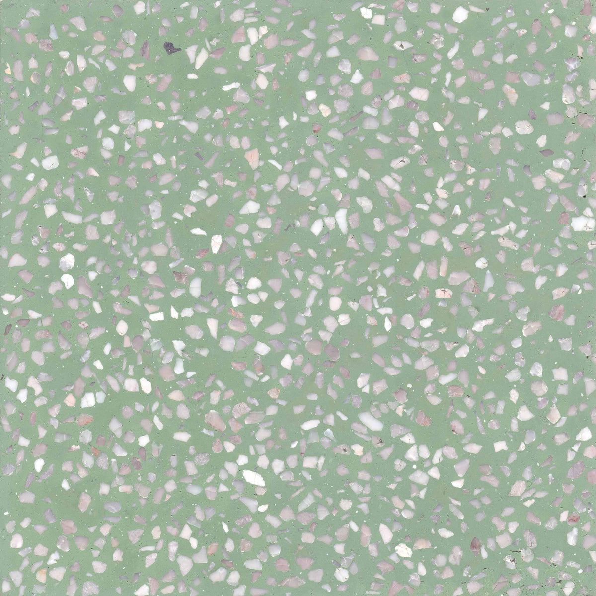 TERRAZZO C26 olive green 20X20 raw
