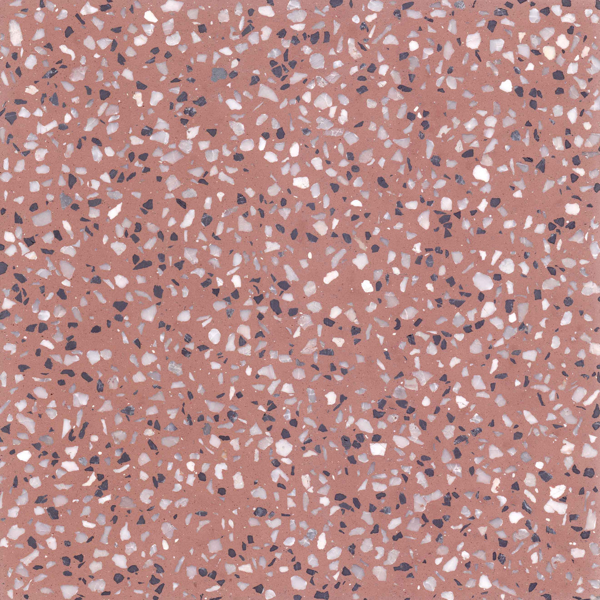 TERRAZZO C39 20X20 raw