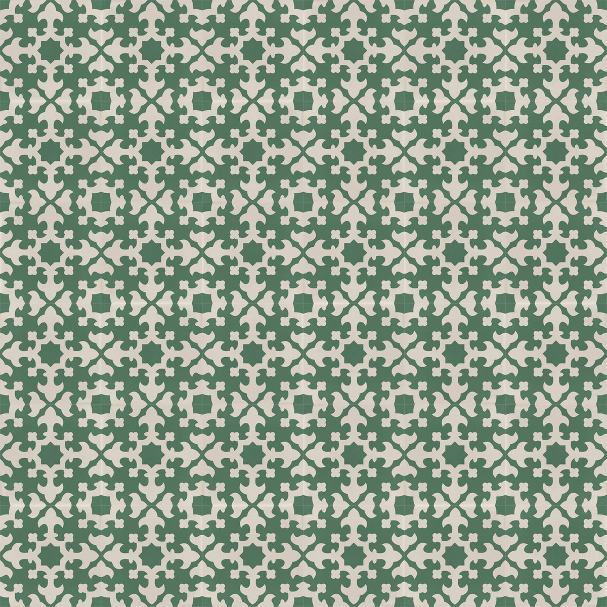 Adam Green 20x20