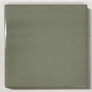 David&Goliath glazed gris verd scaled (ac 52)